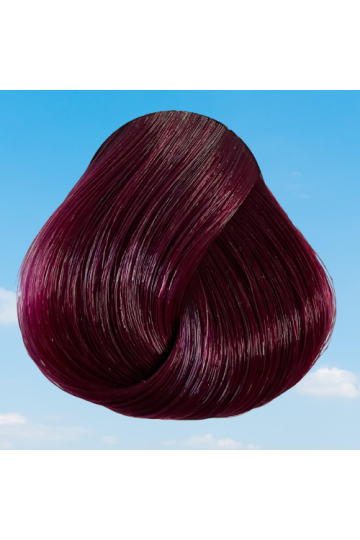 Exemple de coloration Dark Tulip