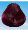 Exemple de coloration Dark Tulip