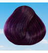 Exemple coloration Plum