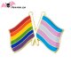 Pins drapeaux LGBT et transexuel