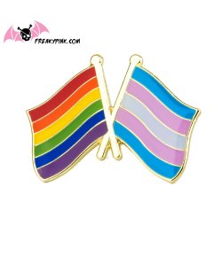 Pins drapeaux LGBT et transexuel