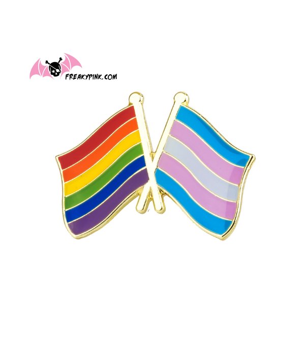 Pins drapeaux LGBT et transexuel