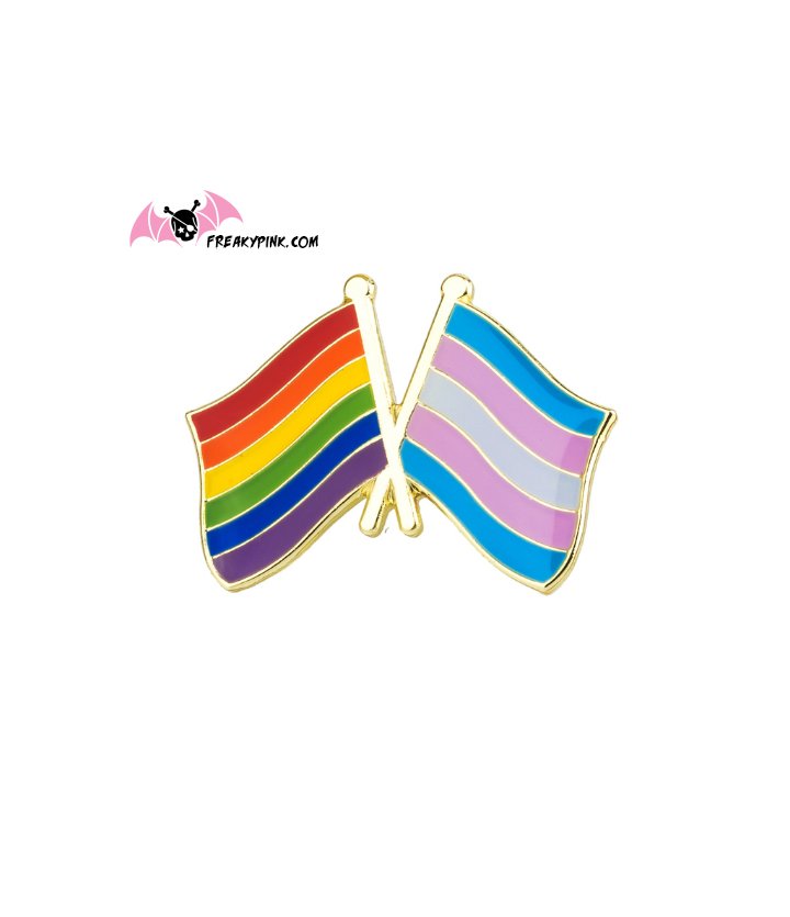 Pins double drapeaux lgbtqia+ gay et transexuel chez Freaky Pink shop